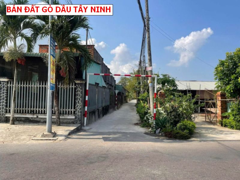 Bán đất Bàu Đồn- Gò Dầu – Tây Ninh, gần khu công nghiệp Phước Đông