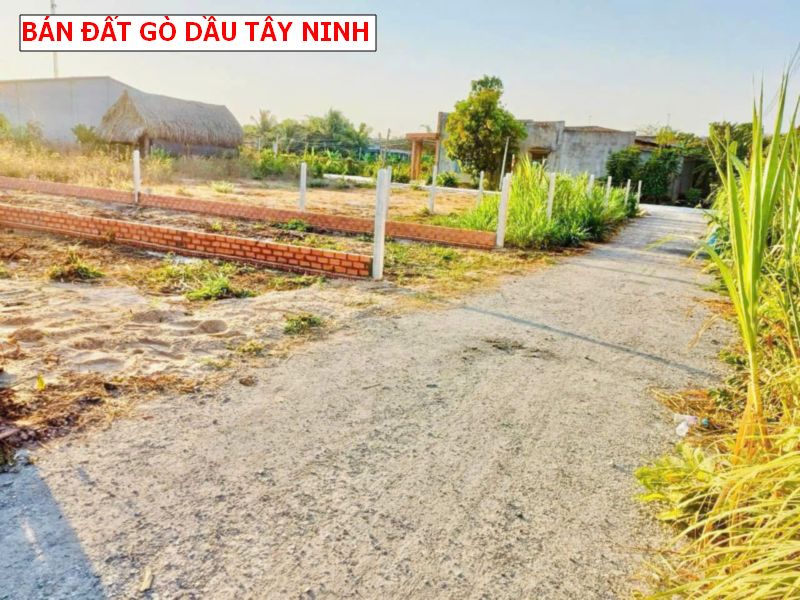 Bán đất Bàu Đồn- Gò Dầu – Tây Ninh, gần khu công nghiệp Phước Đông