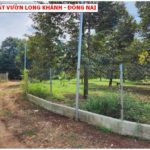 Bán vườn Sầu riêng Hàng Gòn - Long Khánh, 1500m2 full sầu năm t8. giá chỉ 2,8 tỷ