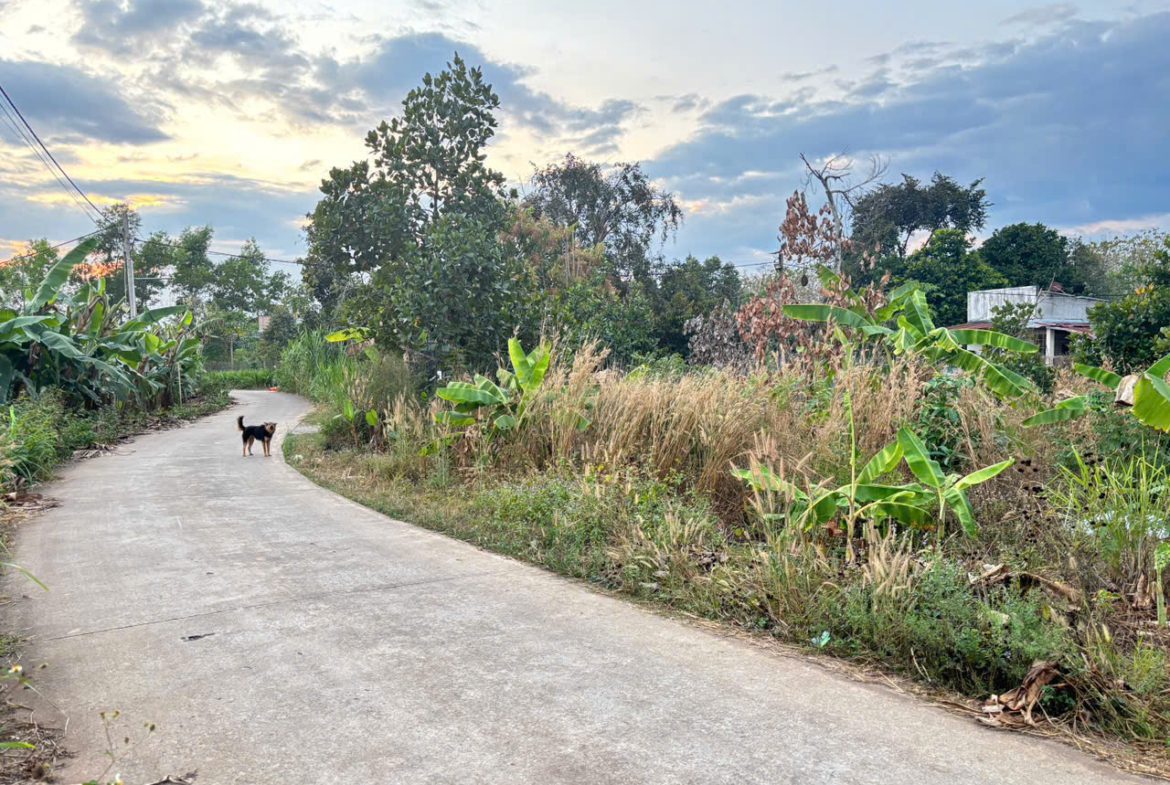 Bán đất Phú Vinh – Định Quán – Đồng Nai 1000m giá 835tr