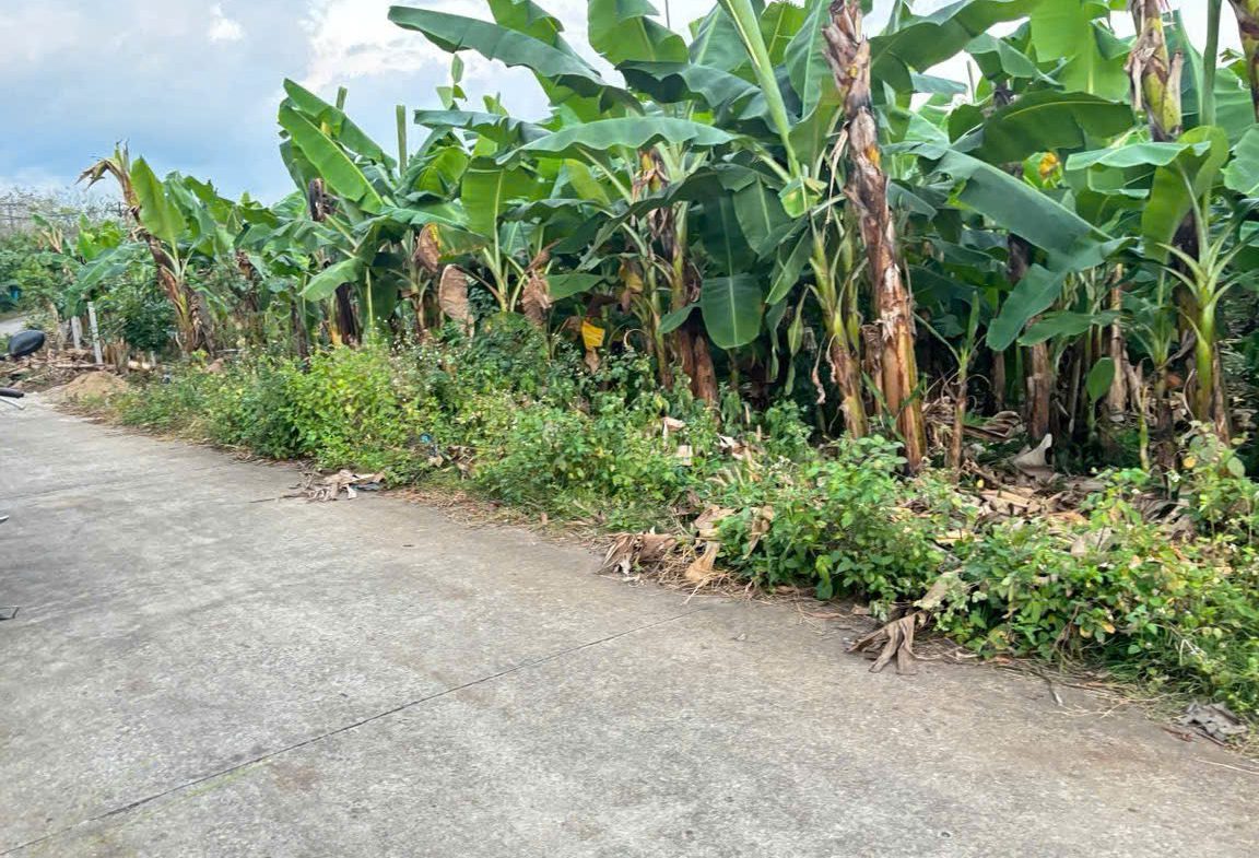 Bán đất Phú Vinh – Định Quán – Đồng Nai 1000m giá 835tr