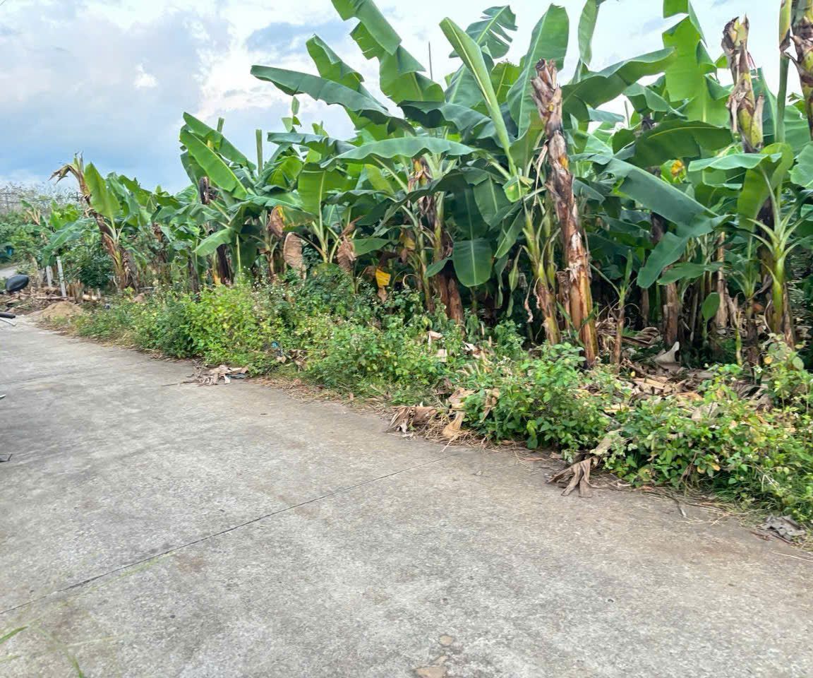 Bán đất Phú Vinh – Định Quán – Đồng Nai 1000m giá 835tr