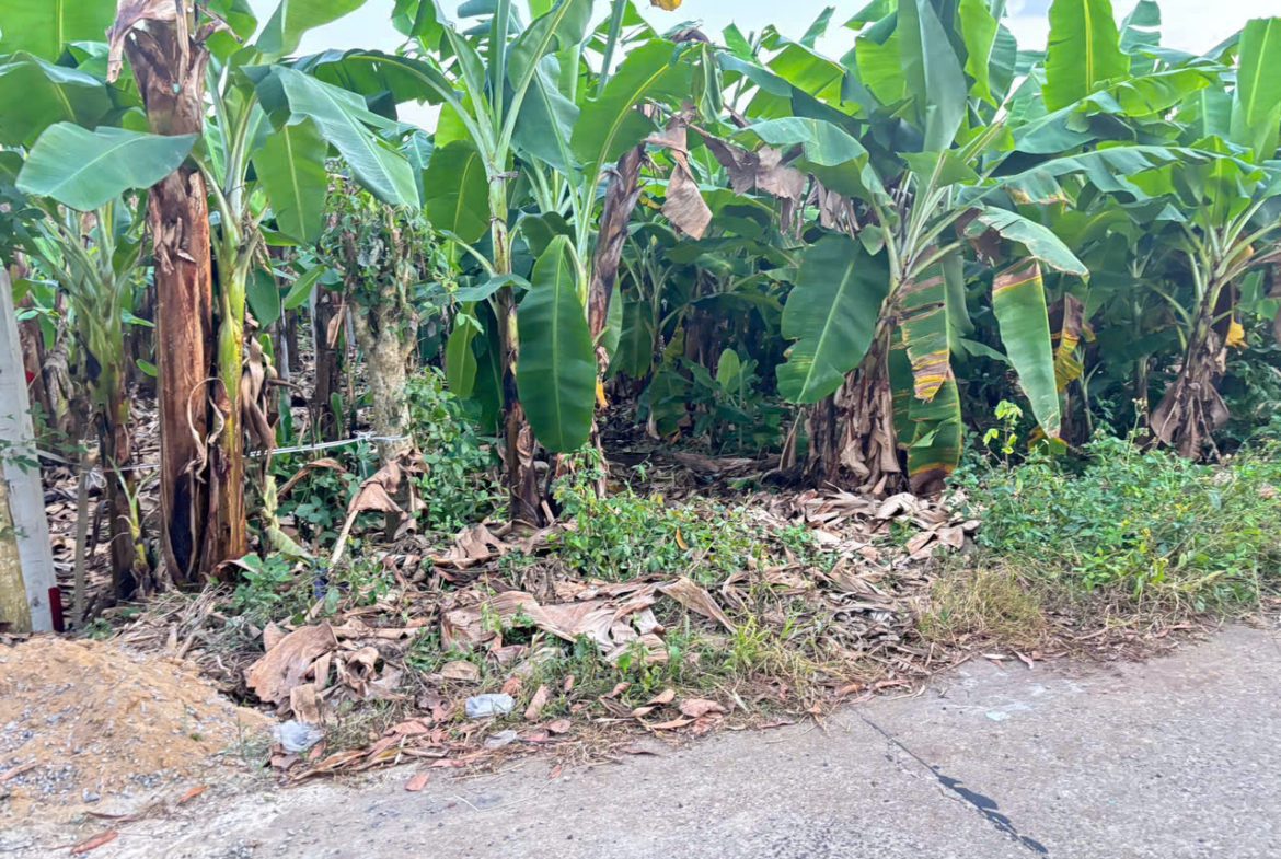 Bán đất Phú Vinh – Định Quán – Đồng Nai 1000m giá 835tr