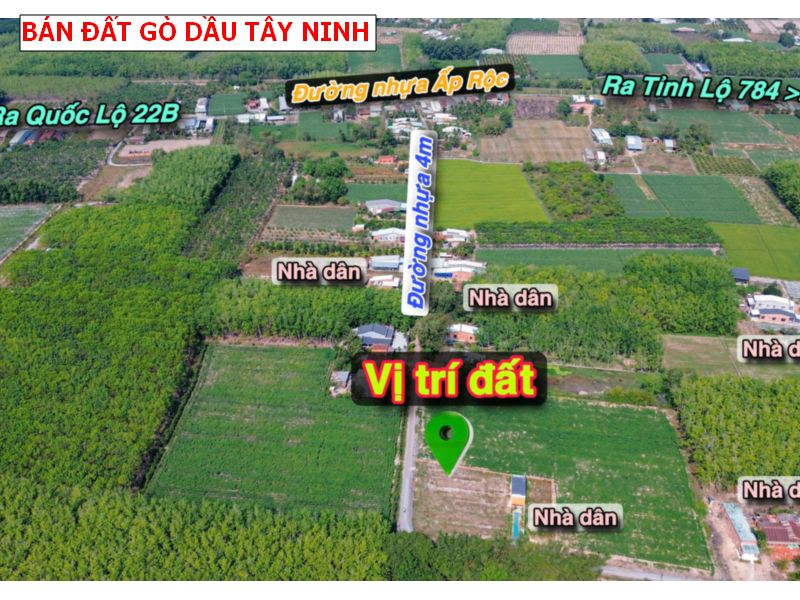 Bán đất mặt tiền nhựa Gò Dầu – Tây Ninh giá tốt
