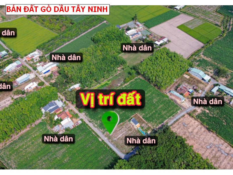 Bán đất mặt tiền nhựa Gò Dầu – Tây Ninh giá tốt