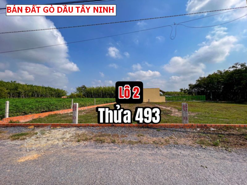Bán đất mặt tiền nhựa Gò Dầu – Tây Ninh giá tốt