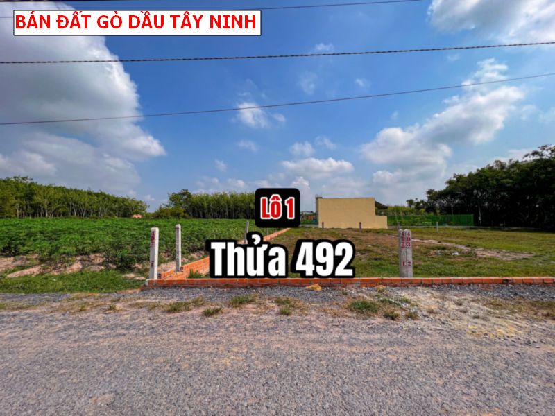 Bán đất mặt tiền nhựa Gò Dầu – Tây Ninh giá tốt