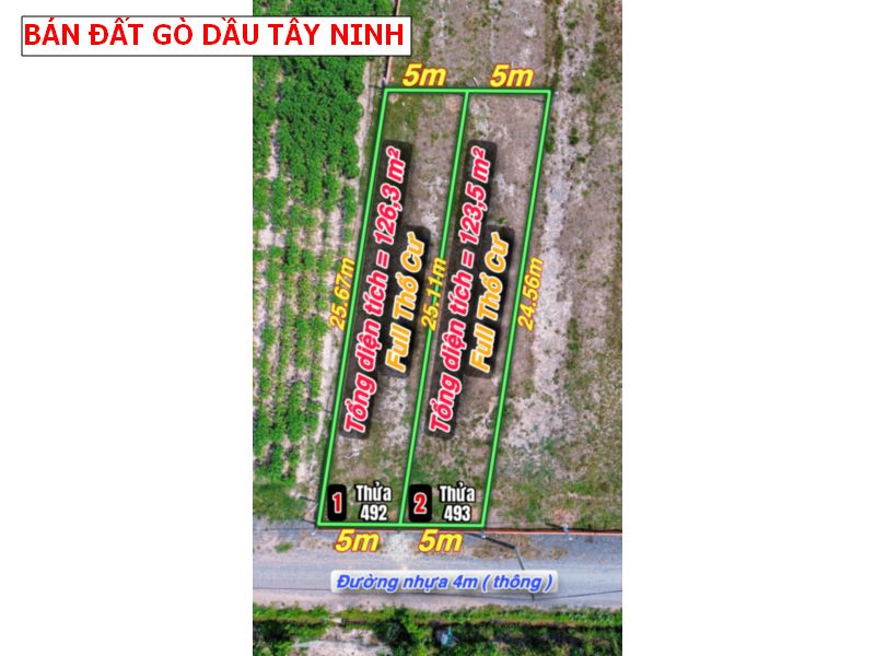 Bán đất mặt tiền nhựa Gò Dầu – Tây Ninh giá tốt