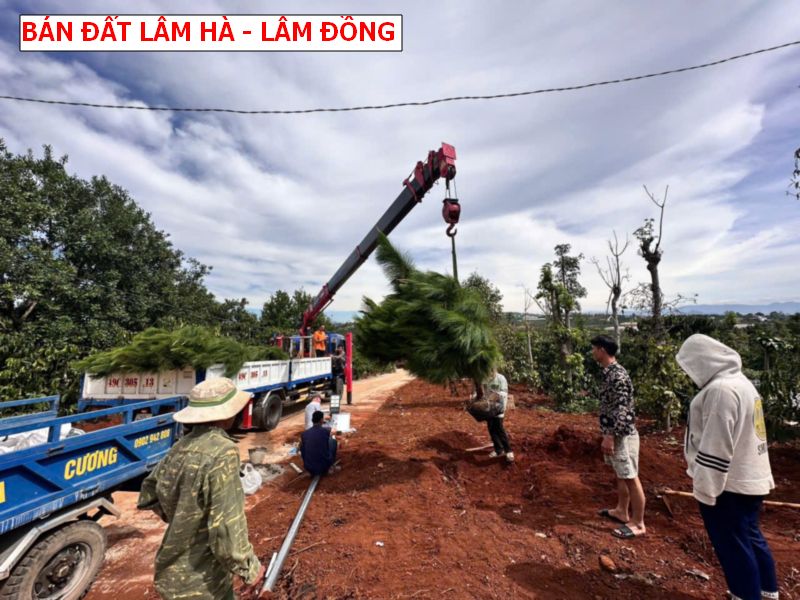 Bán đất Lâm Hà – Lâm Đồng giá chỉ 4xxtr