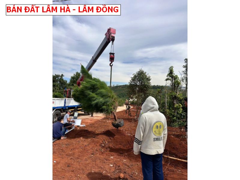 Bán đất Lâm Hà – Lâm Đồng giá chỉ 4xxtr