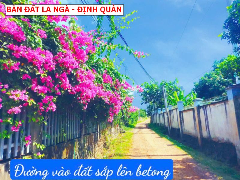 Bán vườn nhãn 1700m2 tại La Ngà _ Định Quán