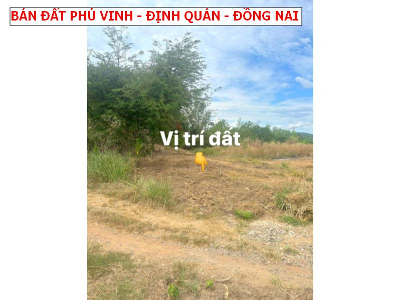 Phú Vinh – Định Quán giá rẻ nhất, chỉ 339tr 1 lô đất full thổ cư