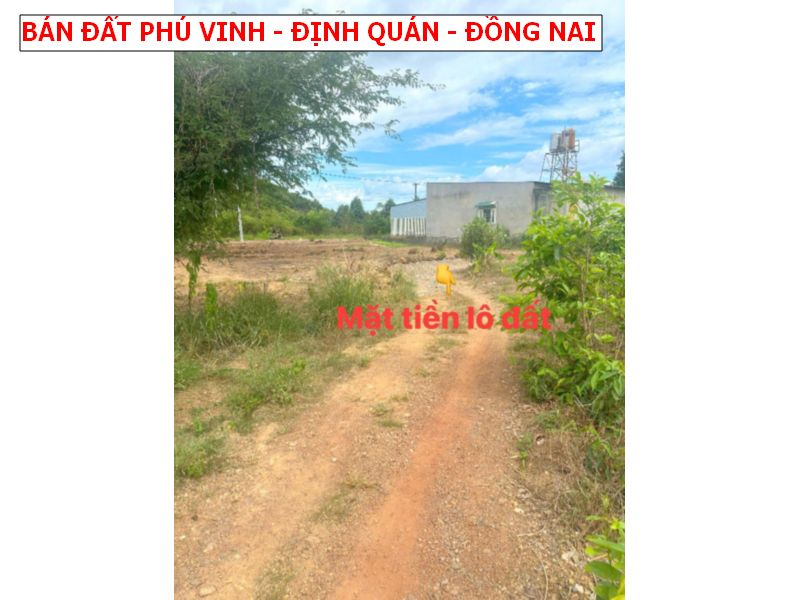 Phú Vinh – Định Quán giá rẻ nhất, chỉ 339tr 1 lô đất full thổ cư