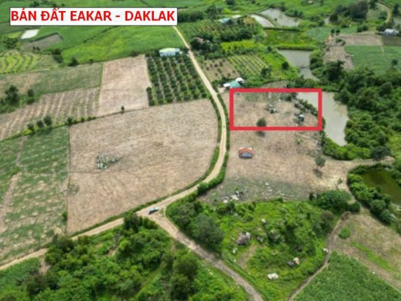 Bán đất Eakar – Đaklal, đất vườn phủ hồng 5400m2 giá chỉ 499tr