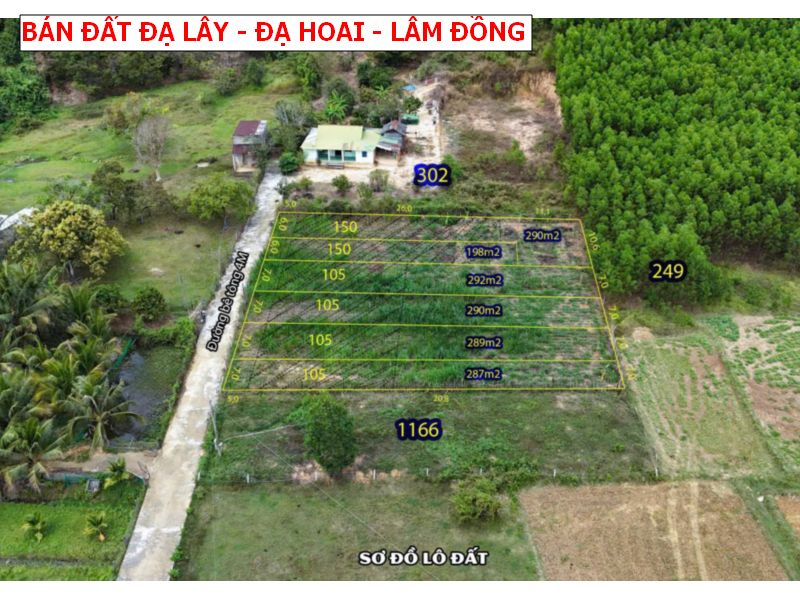 Bán đất Đạ Teh – Đạ Hoai – Lâm Đồng sổ sẵn giá chỉ 239tr/ lô