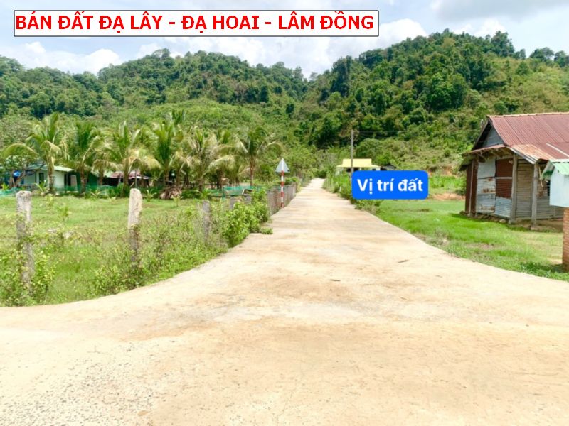 Bán đất Đạ Teh – Đạ Hoai – Lâm Đồng sổ sẵn giá chỉ 239tr/ lô