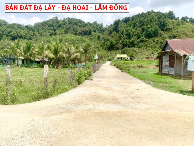 Bán đất Đạ Teh – Đạ Hoai – Lâm Đồng sổ sẵn giá chỉ 239tr/ lô