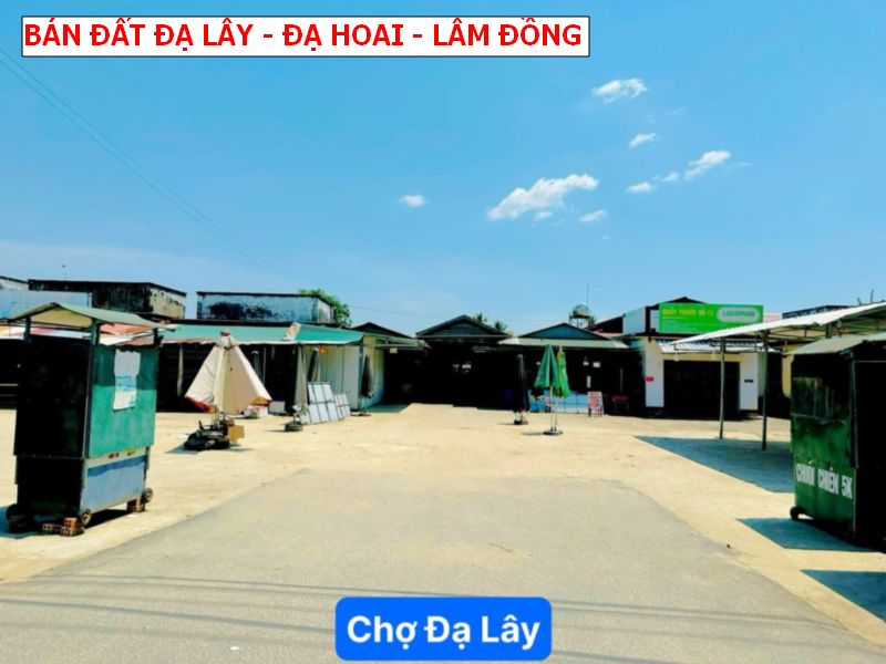 Bán đất Đạ Teh – Đạ Hoai – Lâm Đồng sổ sẵn giá chỉ 239tr/ lô