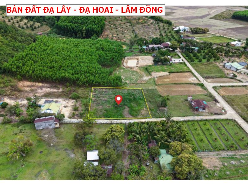 Bán đất Đạ Teh – Đạ Hoai – Lâm Đồng sổ sẵn giá chỉ 239tr/ lô