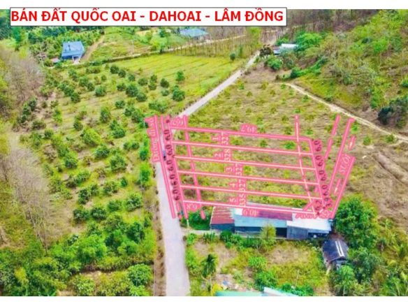 Bán đất Quốc Oai – Dahoai – Lâm Đồng 6×50 có thổ cư giá chỉ 259tr