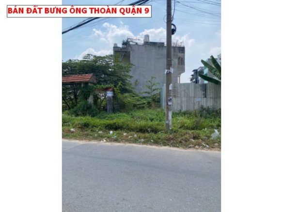 Bán đất mặt tiền Bưng Ông Thoàn, Phú Hữu quận 9, gần Villa Park