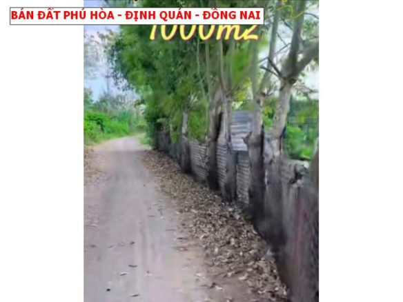 Bán đất vườn phú Hòa – Định Quán, chỉ 480tr / 1000m2