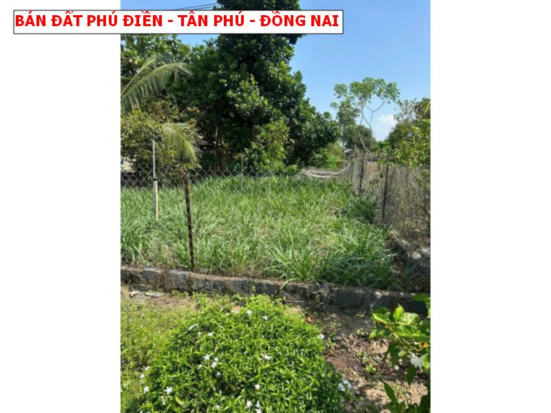 Bán đất Phú Điền -Tân Phú – Đồng Nai, 495m2 giá chỉ 650tr