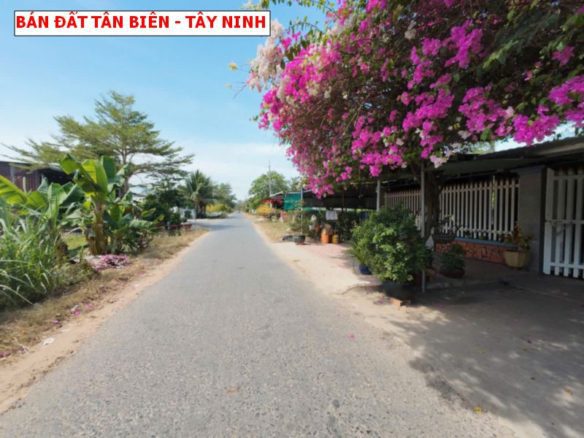 Bán đất Trà Vong – Tân Biên – Tây Ninh giá rẻ, góc 2 mặt tiền siêu đẹp