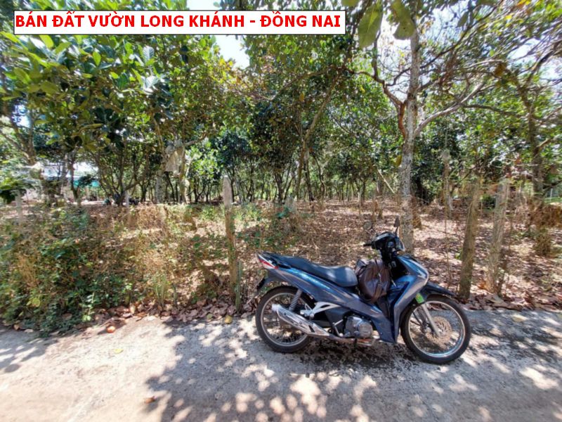 Bán vườn trái cây Bảo Quang – Long Khánh có thổ cư