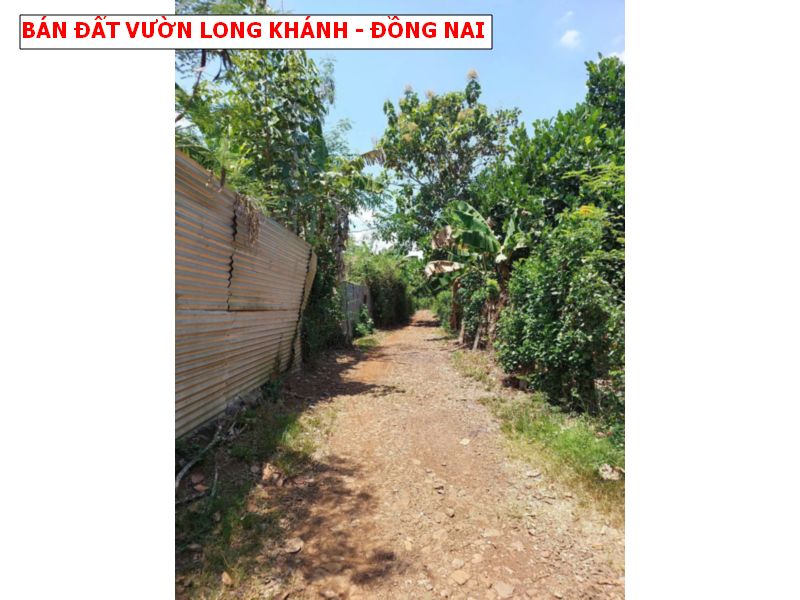 Bán vườn trái cây Bảo Quang – Long Khánh có thổ cư