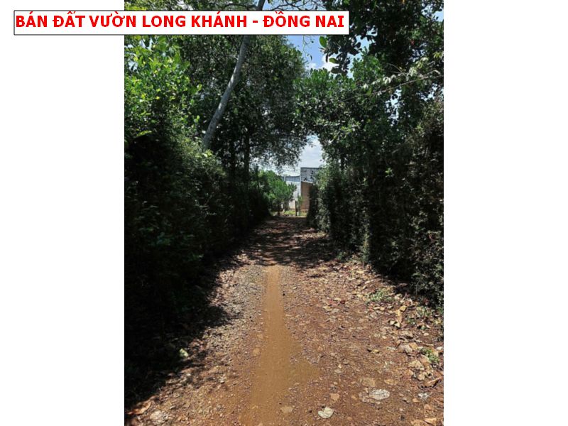 Bán vườn trái cây Bảo Quang – Long Khánh có thổ cư