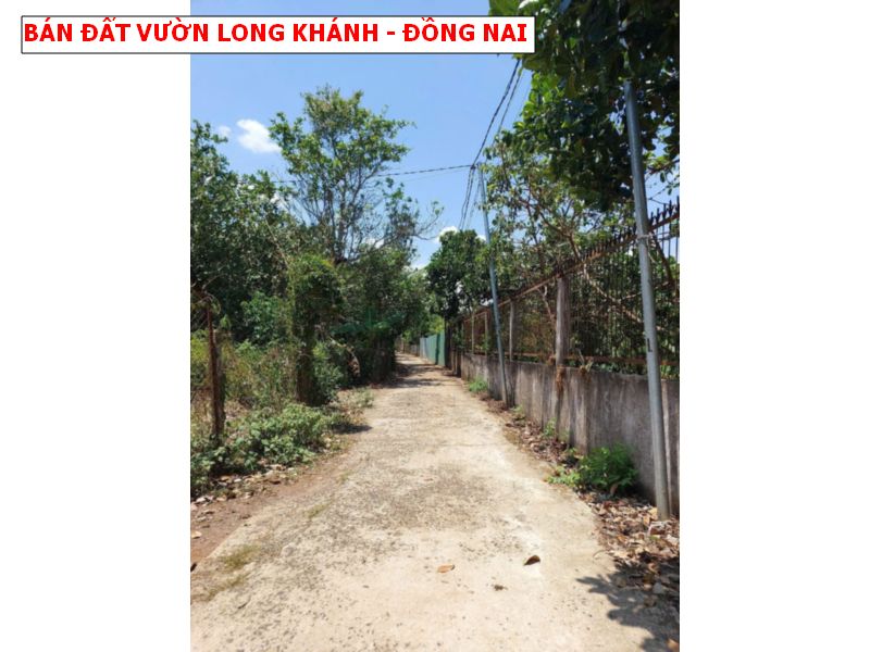 Bán vườn trái cây Bảo Quang – Long Khánh có thổ cư