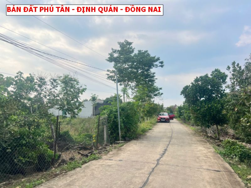 Bán đất Phú Tân – Định Quán, đường betong giá chỉ 4xxtr