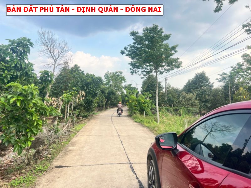 Bán đất Phú Tân – Định Quán, đường betong giá chỉ 4xxtr