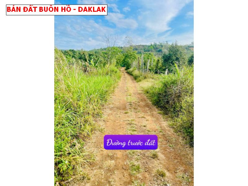 Bán đất Easien Buôn Hồ – Daklak