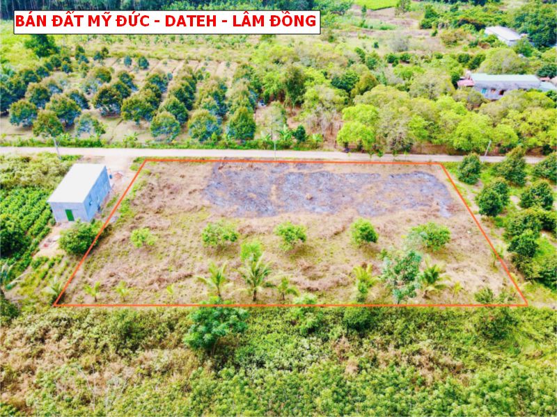 Bán đất Mỹ Đức – Dateh – Lâm Đồng, tặng cổng rào quanh đất