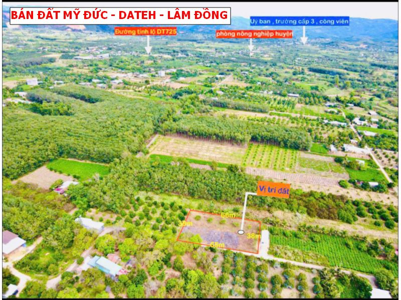 Bán đất Mỹ Đức – Dateh – Lâm Đồng, tặng cổng rào quanh đất