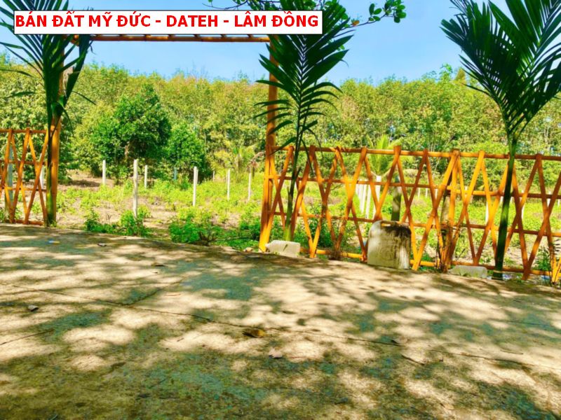 Bán đất Mỹ Đức – Dateh – Lâm Đồng, tặng cổng rào quanh đất