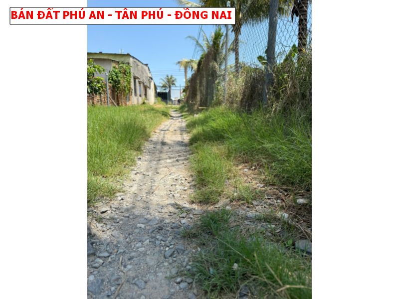 Bán đất Phú An, Tân Phú, Đồng Nai giá chỉ 369tr