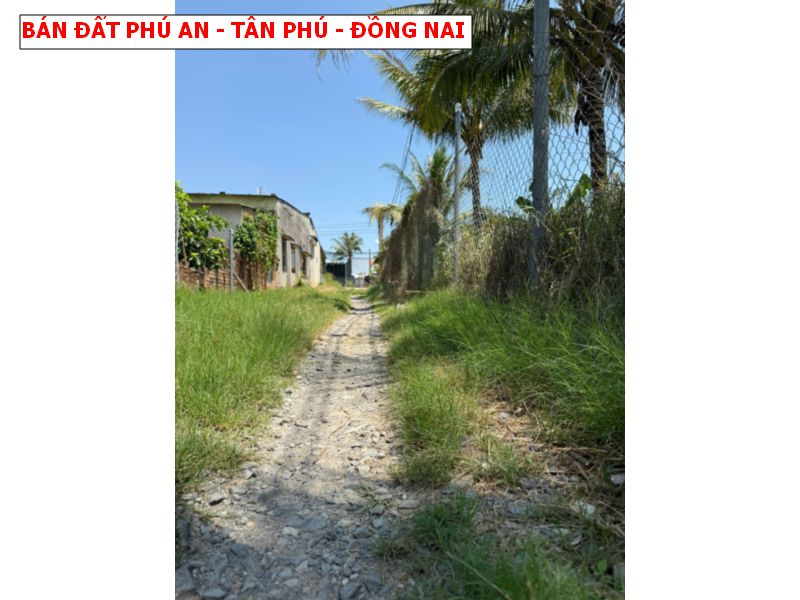 Bán đất Phú An, Tân Phú, Đồng Nai giá chỉ 369tr