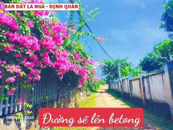 Mở bán 8 lô đất thổ cư tại La Ngà – Định Quán giá F0