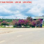 Bán đất Đan Phượng, Lâm Hà - Lâm Đồng, 1000m2 có thổ cư