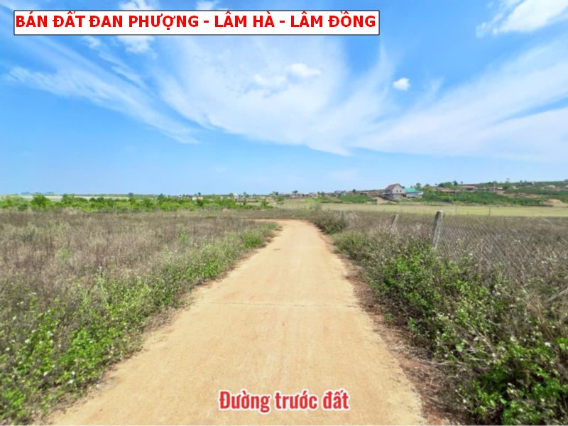 Bán đất Đan Phượng, Lâm Hà – Lâm Đồng, 1000m2 có thổ cư