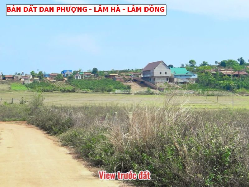 Bán đất Đan Phượng, Lâm Hà – Lâm Đồng, 1000m2 có thổ cư