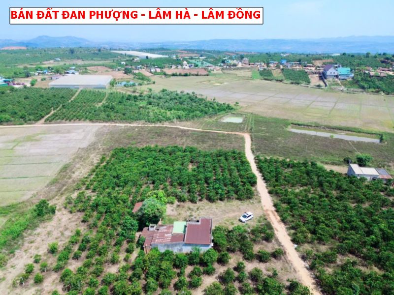 Bán đất Đan Phượng, Lâm Hà – Lâm Đồng, 1000m2 có thổ cư