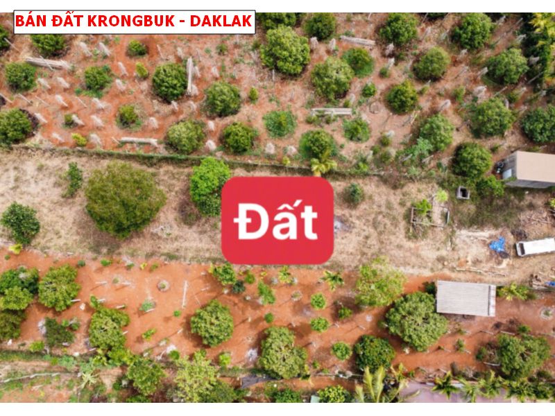 Bán đất Krong Puk Daklak, diện tích lớn có sẵn thổ cư