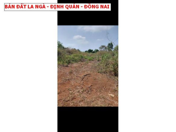 Bán đất La Ngà – Định Quán, 2200m2 full hồng ngang tận 38m đẹp