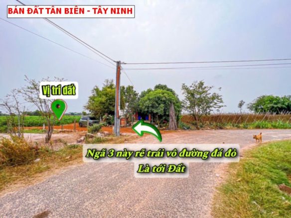 Bán đất vườn Tân Biên Tây Ninh, quy hoạch full hồng đẹp, 1848m giá chỉ 299tr