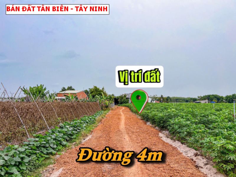 Bán đất vườn Tân Biên Tây Ninh, quy hoạch full hồng đẹp, 1848m giá chỉ 299tr