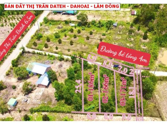 Bán đất thị trấn Dateh – Dahoai – Lâm Đồng, ngang 8 x20 full thổ giá chỉ 299tr